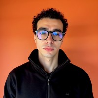 Mostafa N.